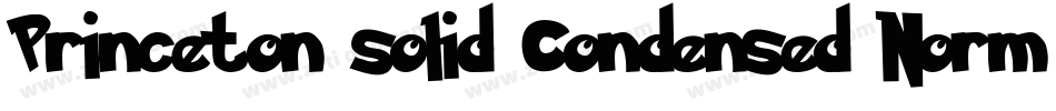 Princeton solid Condensed Normal字体转换